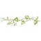Leafy Ivy Vine Wall Stencil | 2825 by Designer Stencils | Floral Stencils | Reusable Art Craft Stencils for Painting on Walls, Canvas, Wood | Reusable Plastic Paint Stencil for Home Makeover | Easy to Use & Clean Art Stencil